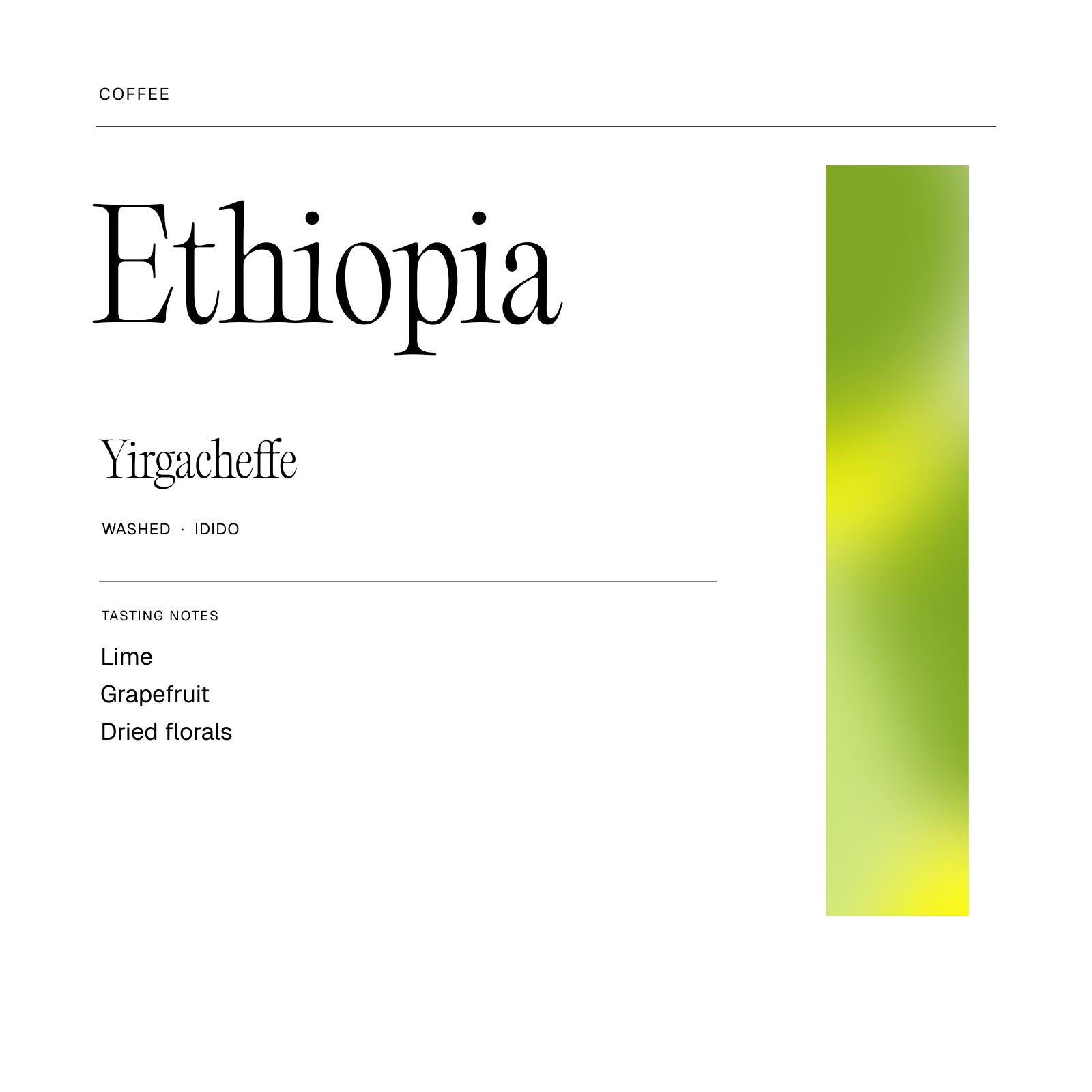 Ethiopia Yirgacheffe coffee artwork, with notes of Lime, Grapefruit, Dried florals.